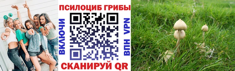 Купить закладки  Мезень  Псилоцибиновые грибы Cubensis 